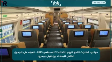 مواعيد قطارات تالجو اليوم الثلاثاء 12 أغسطس 2025.. تعرف على الجدول الكامل للرحلات بين قبلي وبحري!
